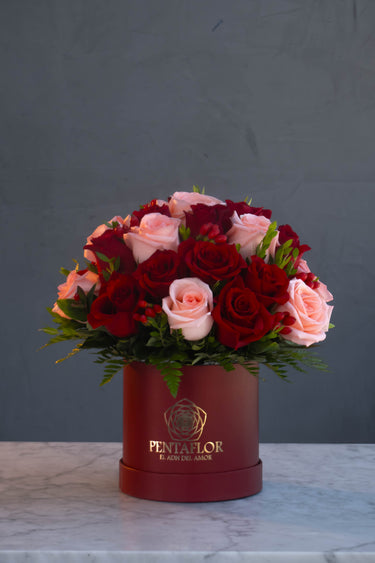 Box Rojo Premium con 36 Rosas Rojas y Rosadas - Contraste de Pasión