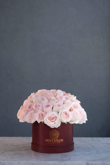 Box Premium de 60 Rosas Pastel - Elegancia y Sofisticación