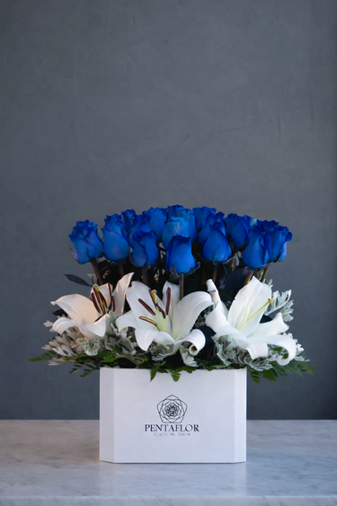 Box Premium de 24 Rosas Azules e Imponentes Lilium Blancos